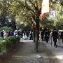 foto-24